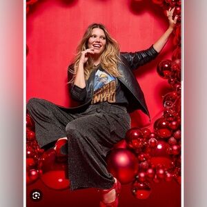 Glitter striped tie front Wide Leg Pant- Torrid 2x